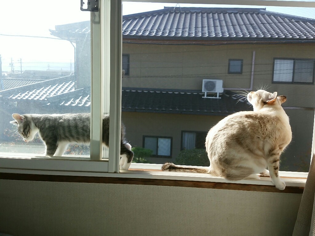 f0255704_09434802.jpg