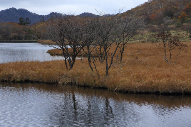 覚満淵草紅葉～②　_a0357206_21013635.jpg