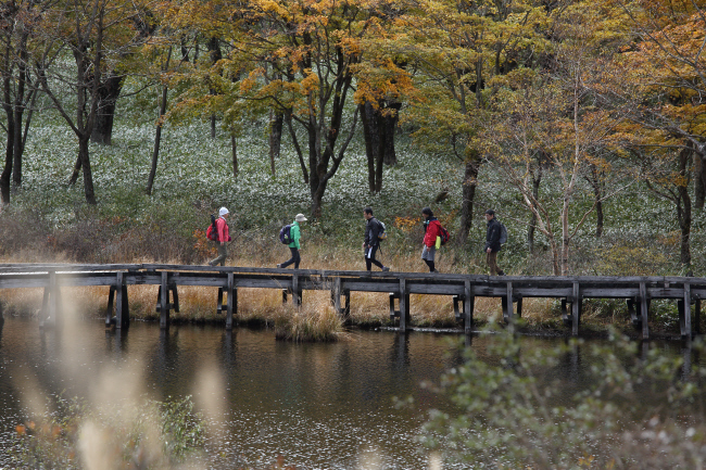 覚満淵草紅葉～②　_a0357206_21111799.jpg