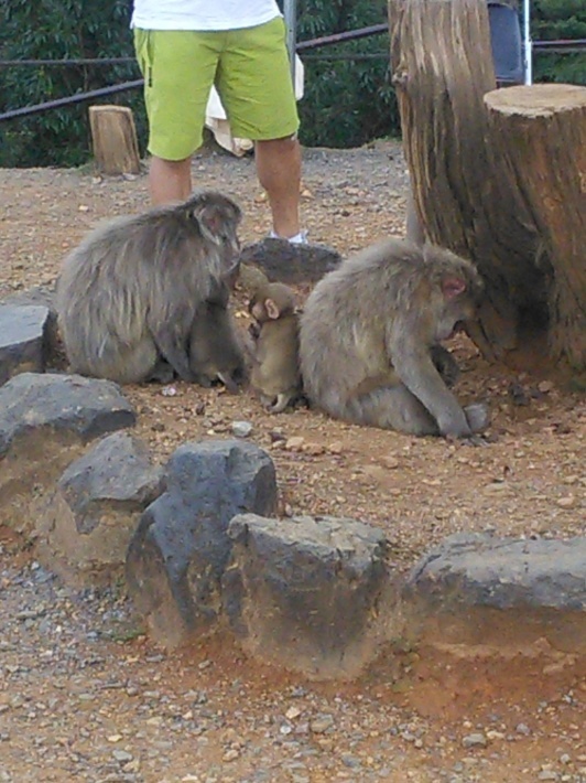 c0149408_09065277.jpg