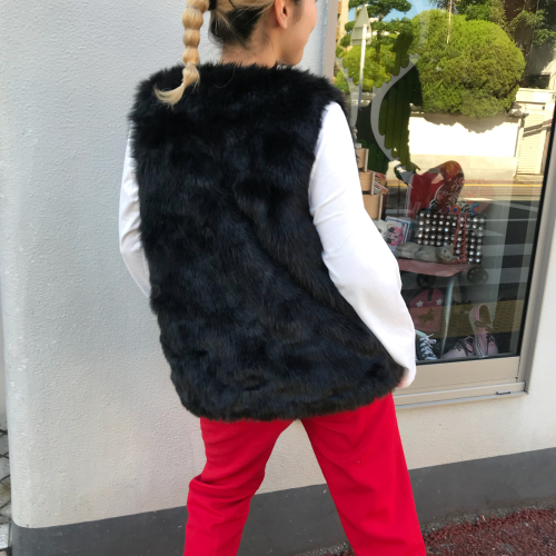 Fake Fur Vest_a0182112_13521322.jpg