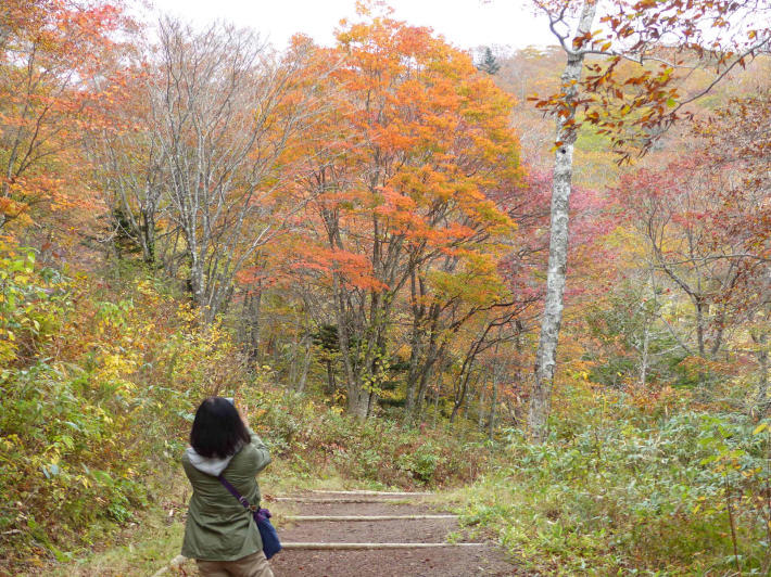 那須紅葉めぐり 後編_f0296312_21282756.jpg