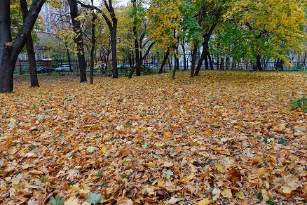 a0151913_6171961.jpg
