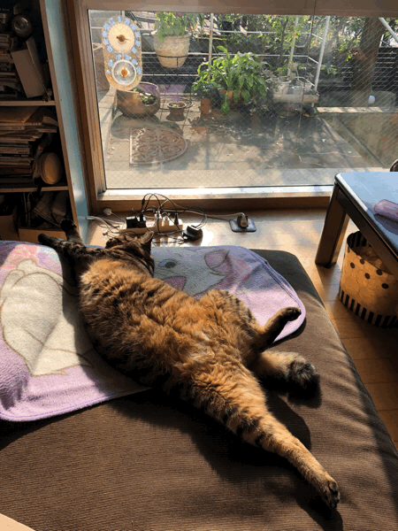 b0268815_07461092.gif