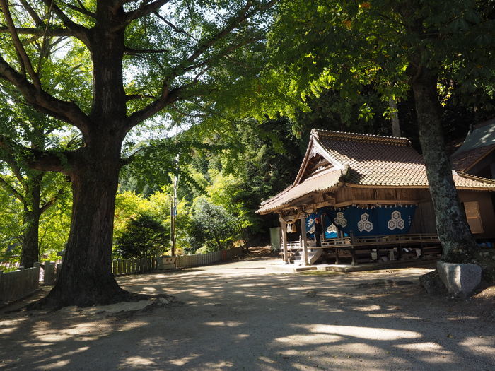 客人神社の秋祭りと初宮詣り_c0116915_00255332.jpg