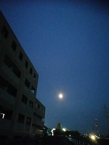 e0359618_19305634.jpg