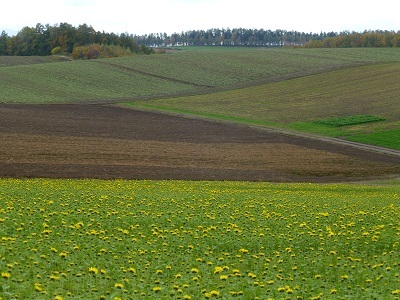 c0227720_00424400.jpg