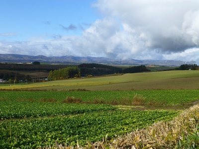 c0227720_00454349.jpg