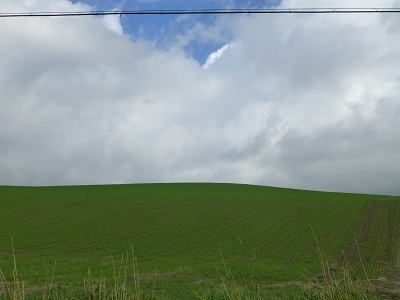 c0227720_00461302.jpg