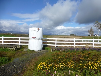 c0227720_00473787.jpg
