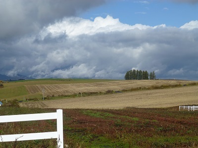 c0227720_00474728.jpg