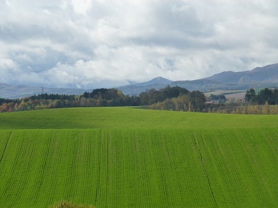 c0227720_00483497.jpg