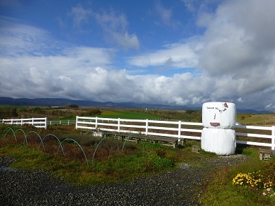 c0227720_00490123.jpg