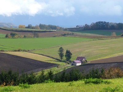 c0227720_00510942.jpg