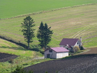 c0227720_00512130.jpg
