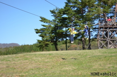 ■100均長期愛用の予感。_d0350221_08065132.jpg