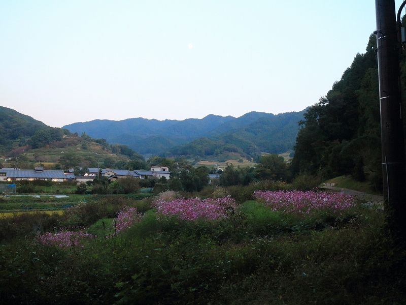 古都飛鳥文化祭2018　2018年10月21日_e0106724_09434738.jpg