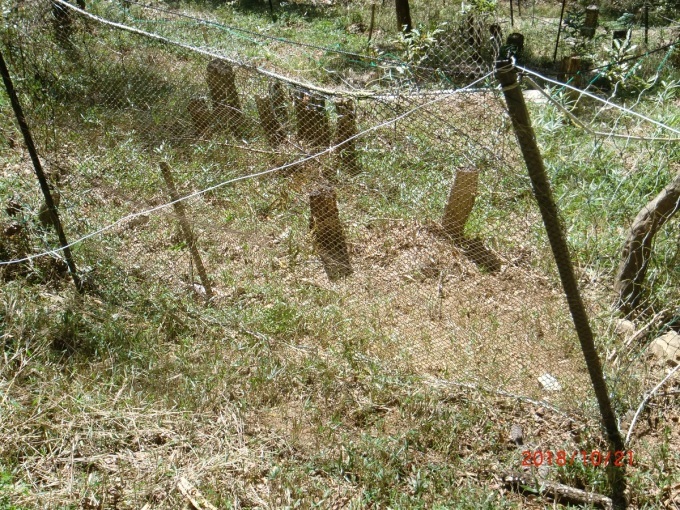 d0024426_21285917.jpg