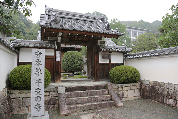 萬福寺 －塔頭・宝善院－_b0169330_23151616.jpg