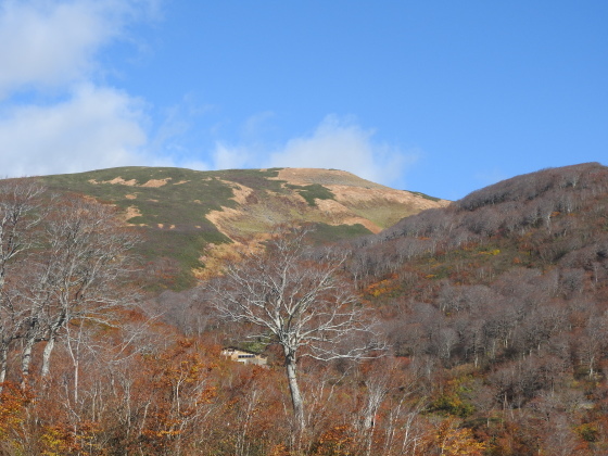 f0118332_00332313.jpg