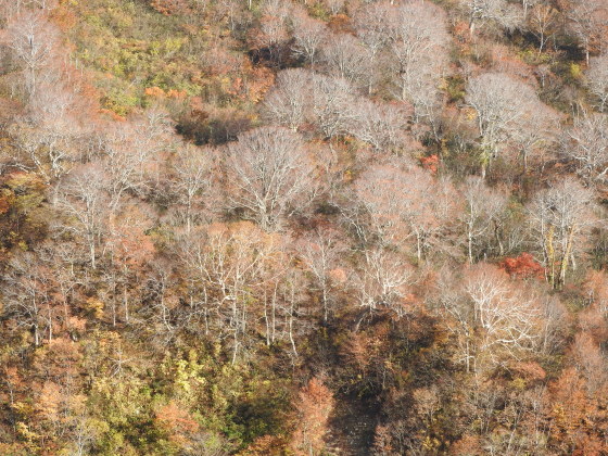 f0118332_00373616.jpg