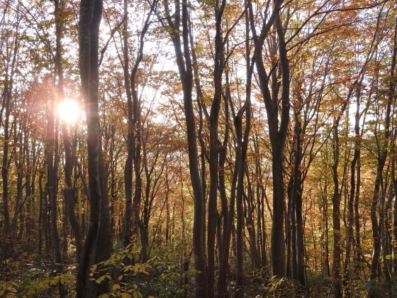 f0118332_00392056.jpg