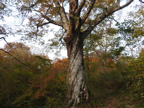 f0118332_00401304.jpg