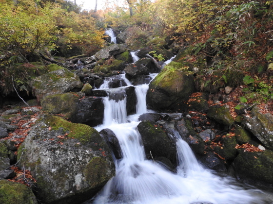 f0118332_00402903.jpg