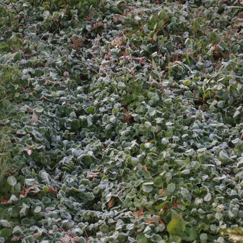 a0329935_08255221.jpeg