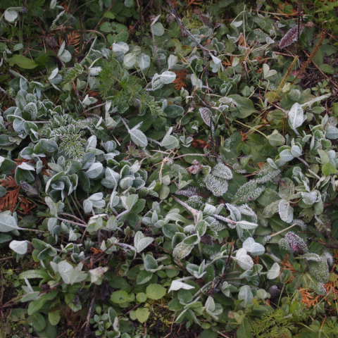a0329935_08332477.jpeg