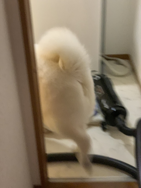 e0364035_02173633.jpeg
