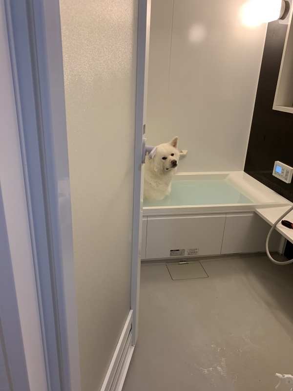 e0364035_02295506.jpeg