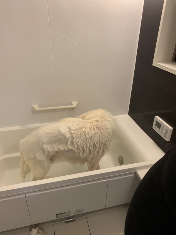 e0364035_02435904.jpeg