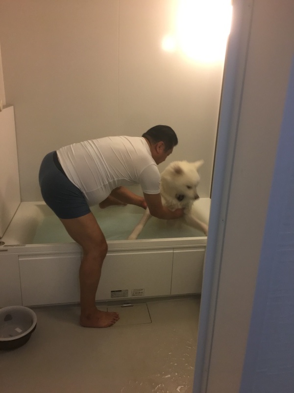 e0364035_20223349.jpeg
