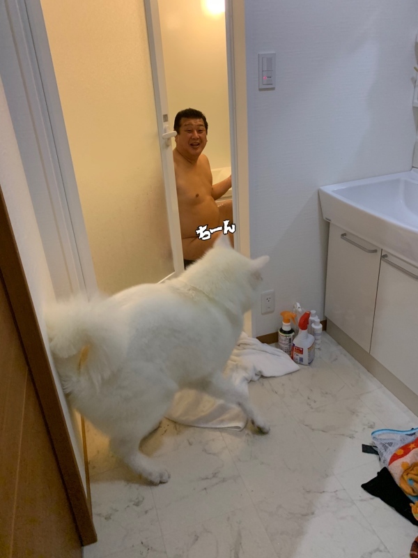 e0364035_22231935.jpeg