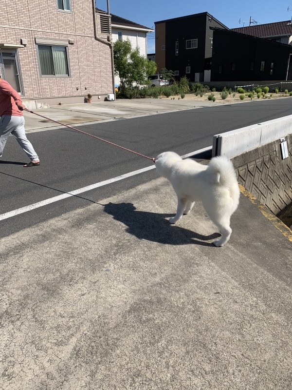 e0364035_22490221.jpeg
