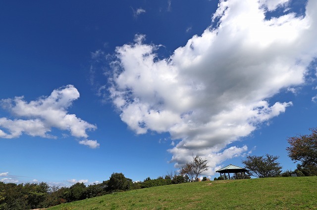 a0242438_21404880.jpg