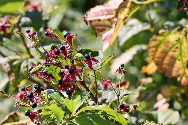 a0242438_21412116.jpg