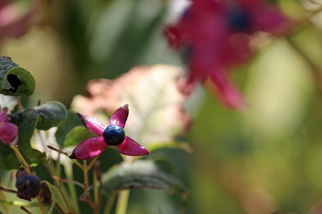 a0242438_21412221.jpg