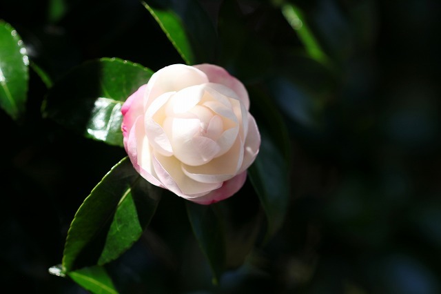 a0242438_21421218.jpg