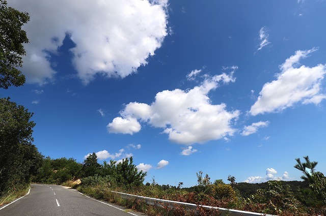 a0242438_21421287.jpg