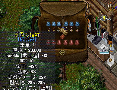イマドキ戦士の装備事情_b0402739_19514283.png