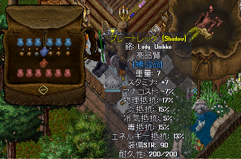 b0402739_19570301.png