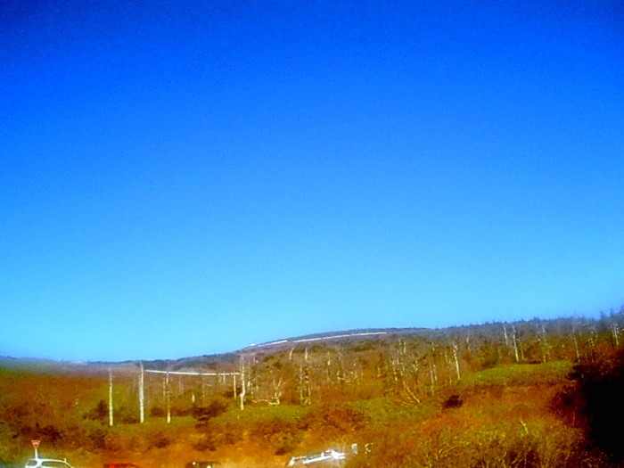 f0363741_20024318.jpg