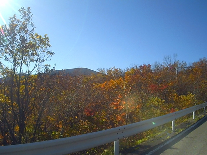 f0363741_21544377.jpg