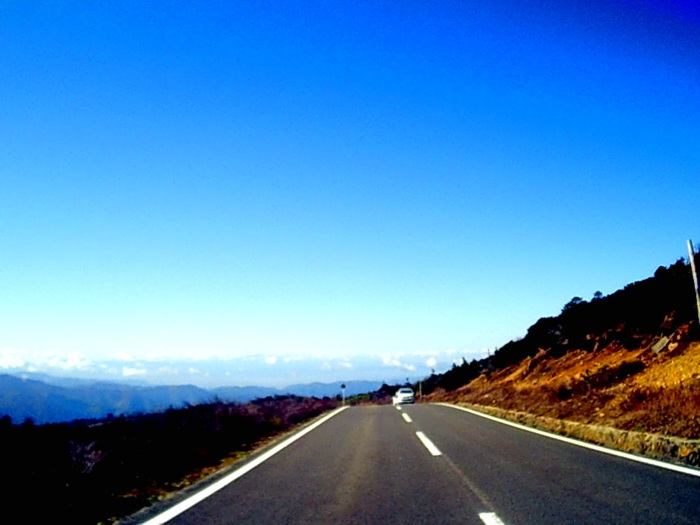 f0363741_22295283.jpg