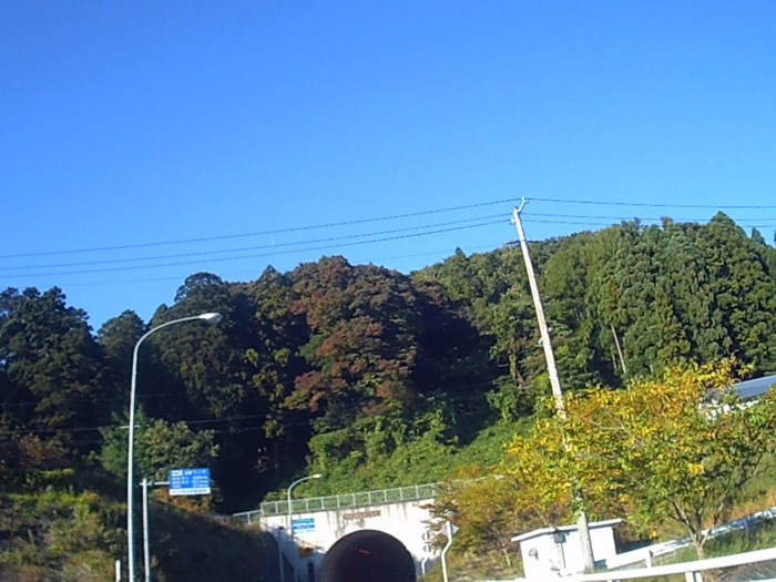 f0363741_23461673.jpg