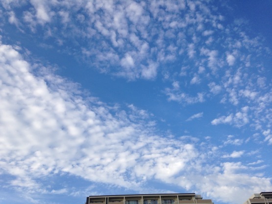 b0206845_15031851.jpg