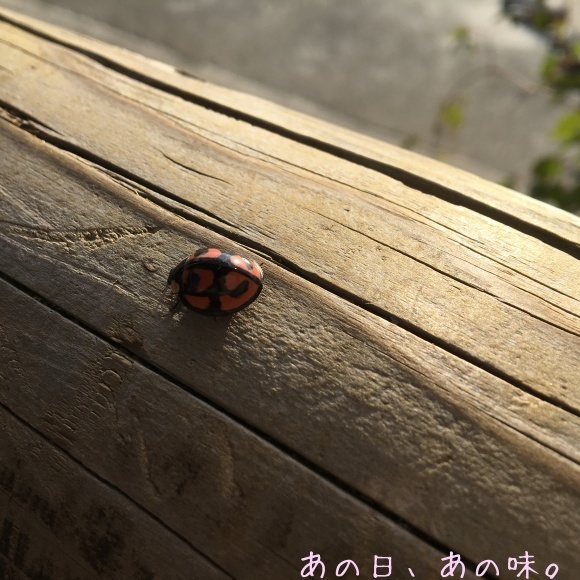 a0305046_09444071.jpg