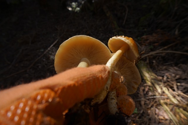 b0122448_21074679.jpg